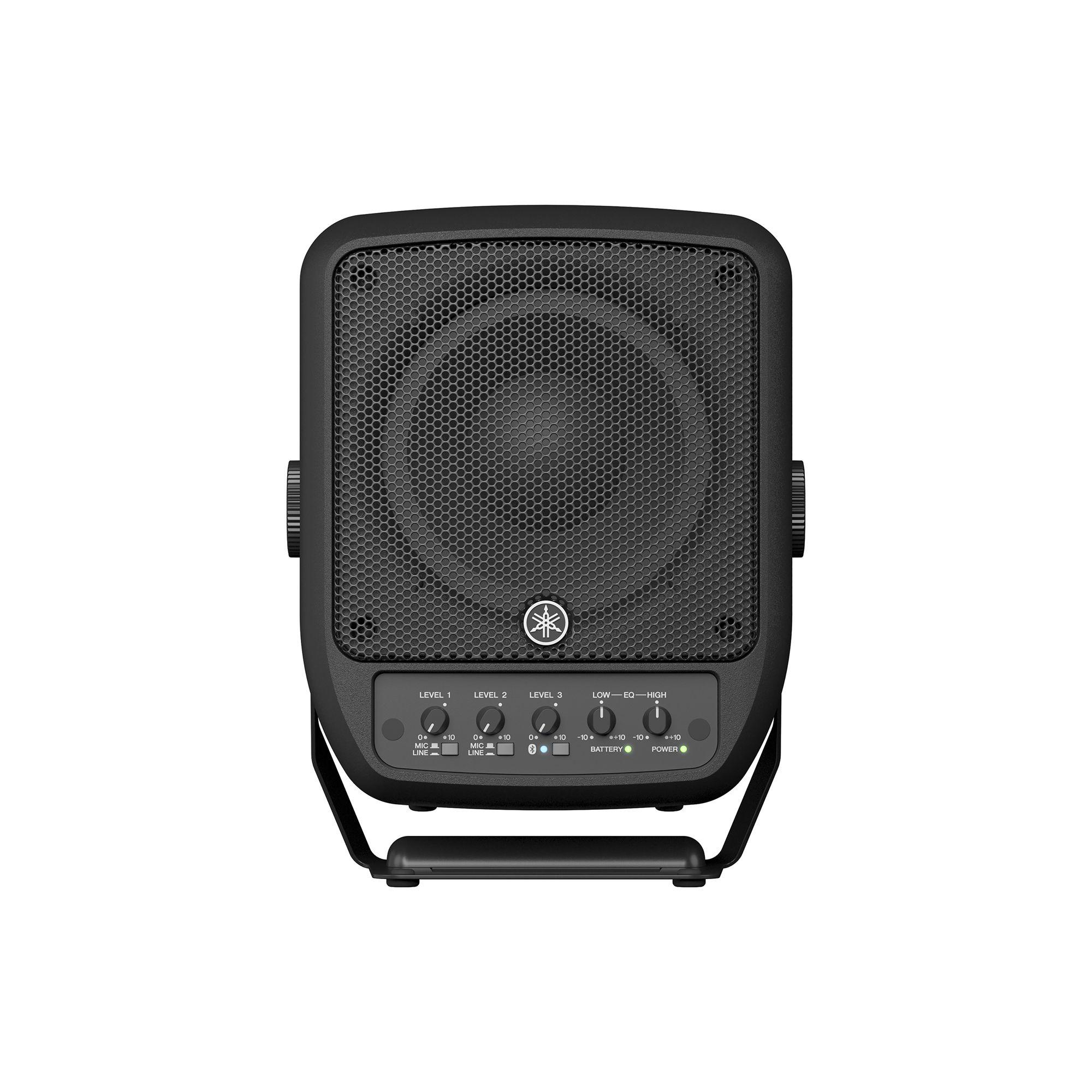 STAGEPAS 100BTR mk24
